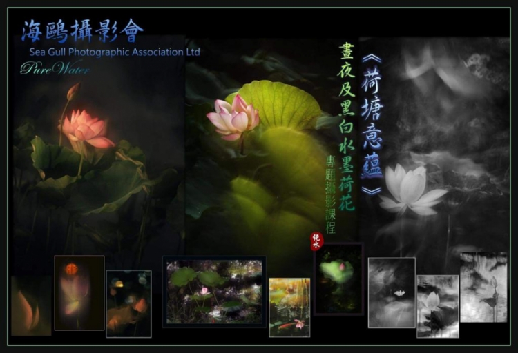 『荷塘意蘊』《晝夜及黑白水墨荷花》專題攝影課程(名額20人)(額滿, 多謝支持)